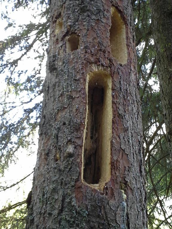 Appartement Ewald Siller Neustift im Stubaital Rum bild