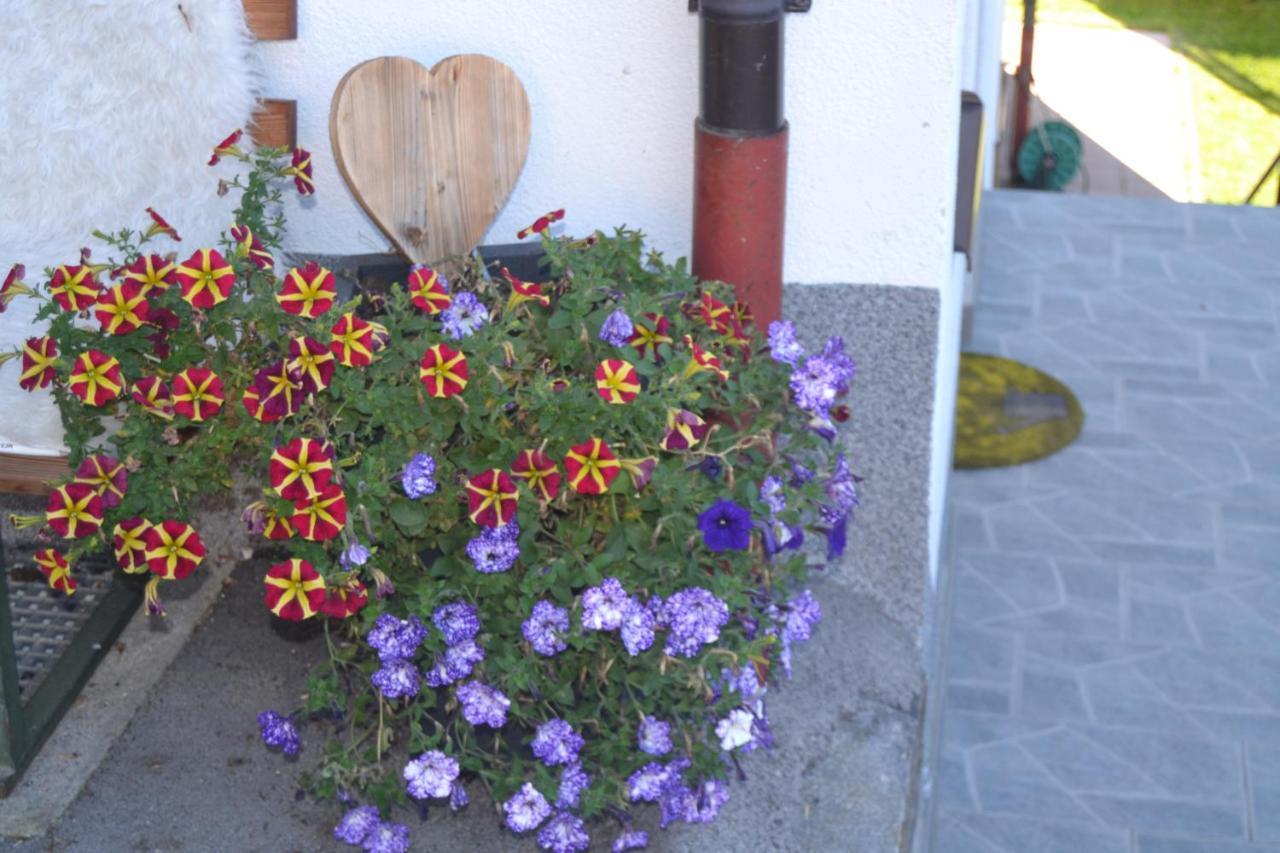 Appartement Ewald Siller Neustift im Stubaital Exteriör bild